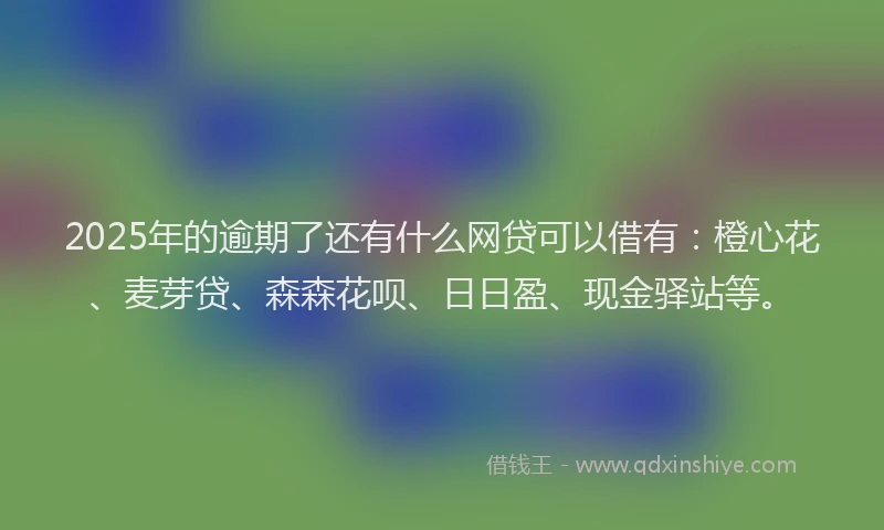 2025年的逾期了还有什么网贷可以借有：橙心花、麦芽贷、森森花呗、日日盈、现金驿站等。