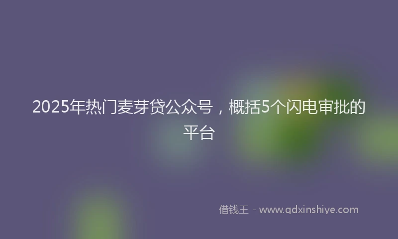 2025年热门麦芽贷公众号，概括5个闪电审批的平台