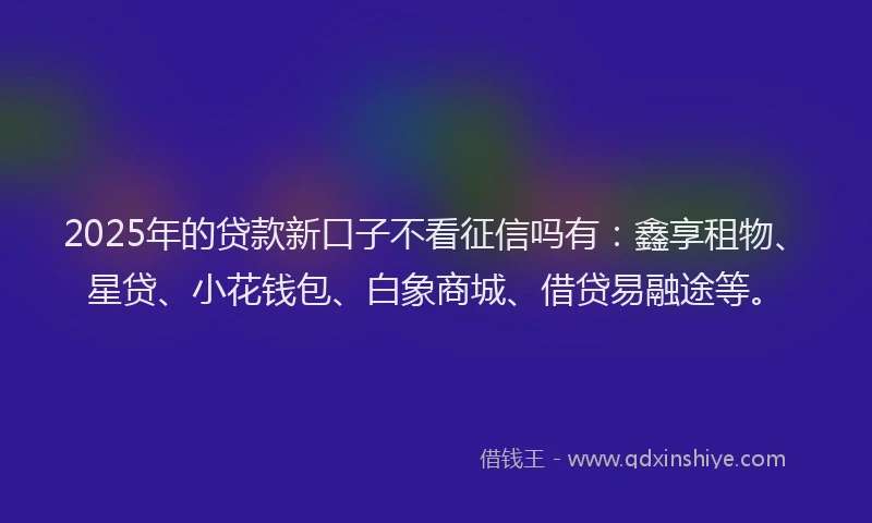 2025年的贷款新口子不看征信吗有：鑫享租物、星贷、小花钱包、白象商城、借贷易融途等。