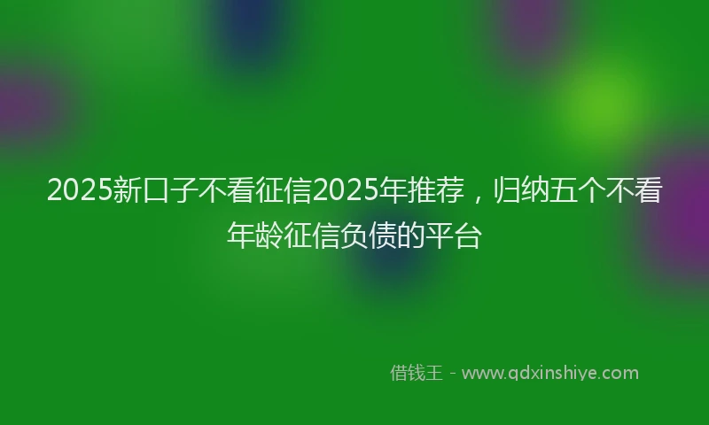 2025新口子不看征信2025年推荐，归纳五个不看年龄征信负债的平台
