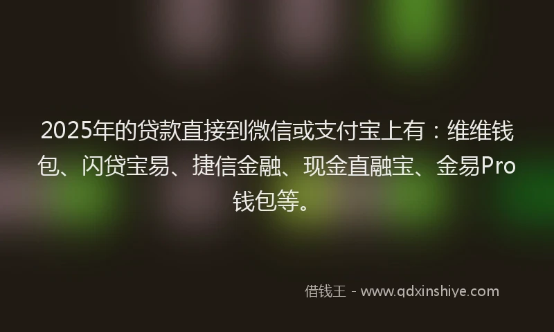 2025年的贷款直接到微信或支付宝上有：维维钱包、闪贷宝易、捷信金融、现金直融宝、金易Pro钱包等。