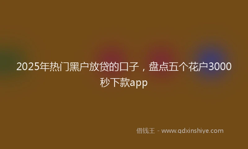 2025年热门黑户放贷的口子，盘点五个花户3000秒下款app