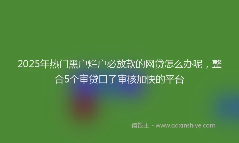 2025年热门黑户烂户必放款的网贷怎么办呢，整合5个审贷口子审核加快的平台