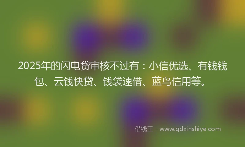 2025年的闪电贷审核不过有：小信优选、有钱钱包、云钱快贷、钱袋速借、蓝鸟信用等。
