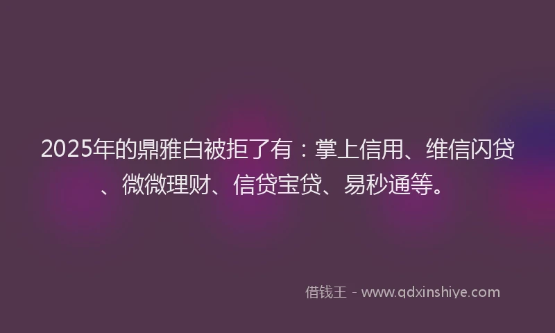 2025年的鼎雅白被拒了有：掌上信用、维信闪贷、微微理财、信贷宝贷、易秒通等。