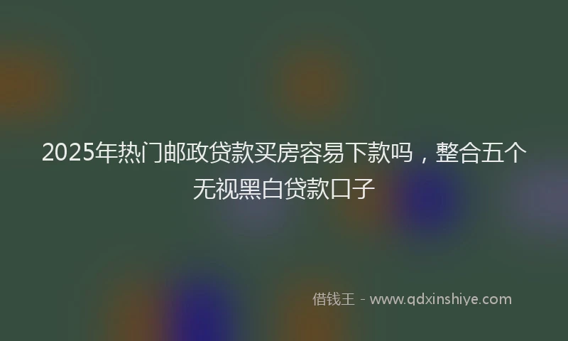 2025年热门邮政贷款买房容易下款吗，整合五个无视黑白贷款口子