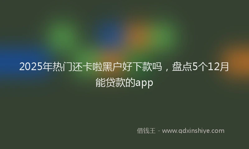 2025年热门还卡啦黑户好下款吗，盘点5个12月能贷款的app