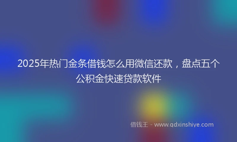 2025年热门金条借钱怎么用微信还款，盘点五个公积金快速贷款软件