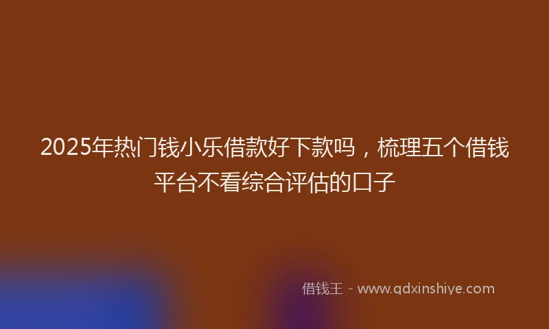 2025年热门钱小乐借款好下款吗，梳理五个借钱平台不看综合评估的口子