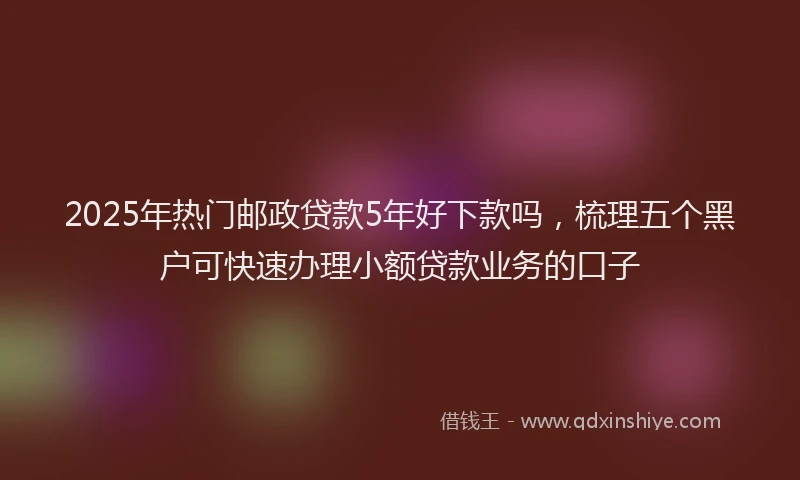 2025年热门邮政贷款5年好下款吗，梳理五个黑户可快速办理小额贷款业务的口子