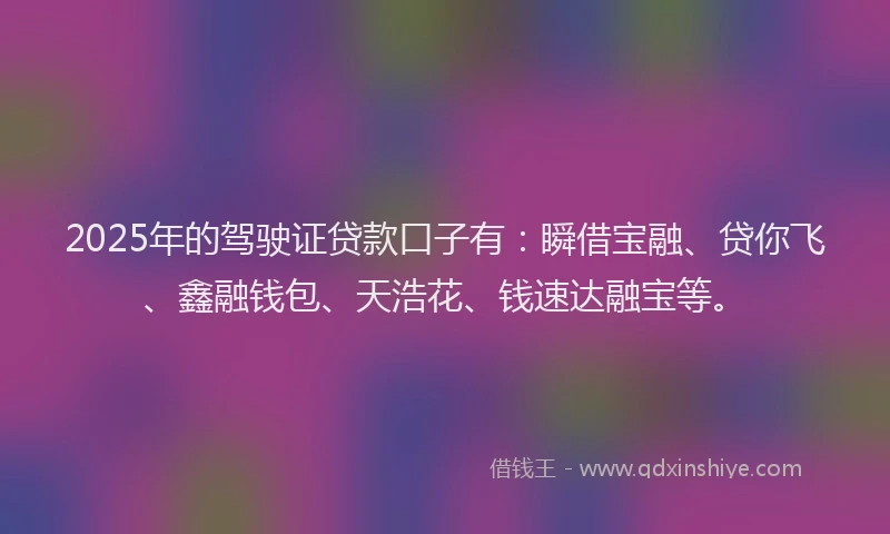 2025年的驾驶证贷款口子有：瞬借宝融、贷你飞、鑫融钱包、天浩花、钱速达融宝等。