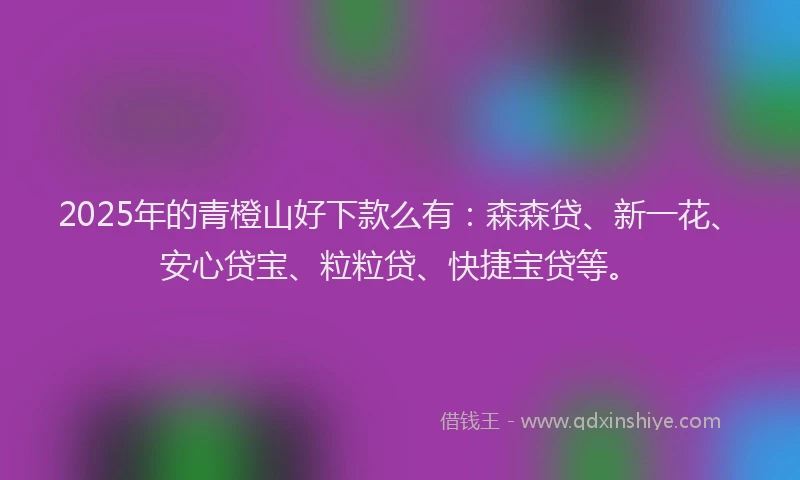 2025年的青橙山好下款么有：森森贷、新一花、安心贷宝、粒粒贷、快捷宝贷等。