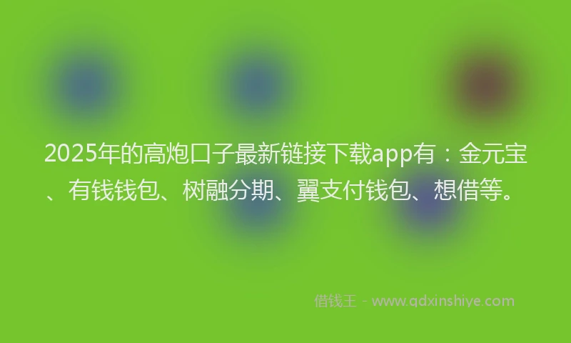 2025年的高炮口子最新链接下载app有：金元宝、有钱钱包、树融分期、翼支付钱包、想借等。
