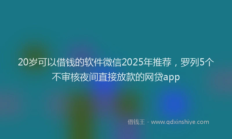20岁可以借钱的软件微信2025年推荐，罗列5个不审核夜间直接放款的网贷app