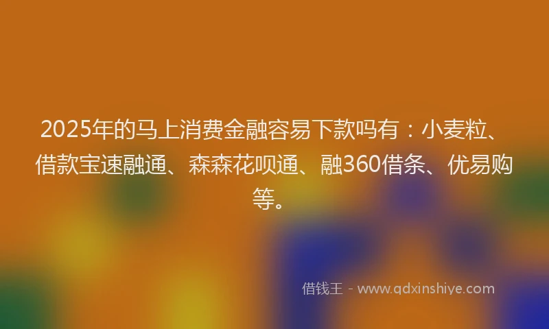 2025年的马上消费金融容易下款吗有：小麦粒、借款宝速融通、森森花呗通、融360借条、优易购等。