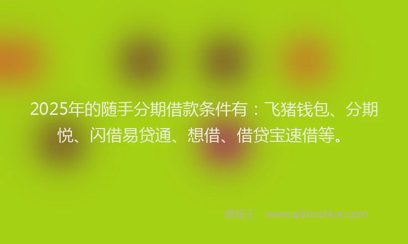 2025年的随手分期借款条件有：飞猪钱包、分期悦、闪借易贷通、想借、借贷宝速借等。