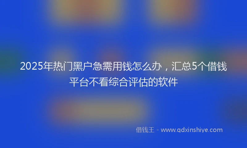 2025年热门黑户急需用钱怎么办，汇总5个借钱平台不看综合评估的软件
