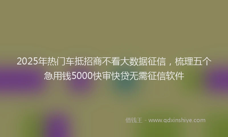 2025年热门车抵招商不看大数据征信，梳理五个急用钱5000快审快贷无需征信软件