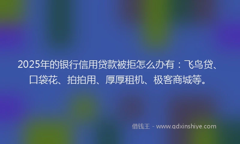 2025年的银行信用贷款被拒怎么办有：飞鸟贷、口袋花、拍拍用、厚厚租机、极客商城等。