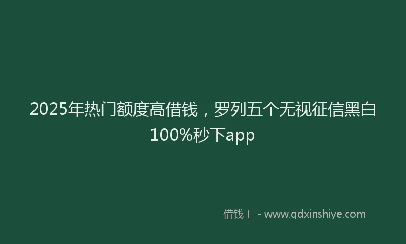 2025年热门额度高借钱，罗列五个无视征信黑白100%秒下app