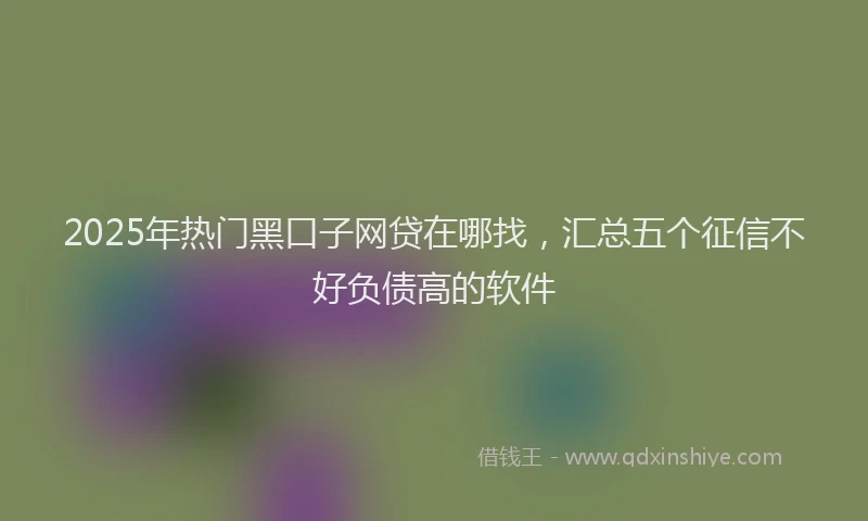 2025年热门黑口子网贷在哪找，汇总五个征信不好负债高的软件