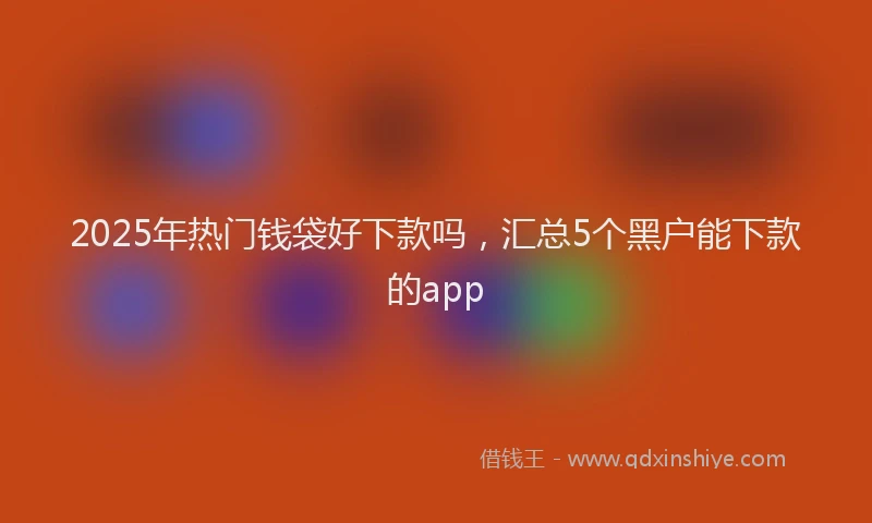 2025年热门钱袋好下款吗，汇总5个黑户能下款的app