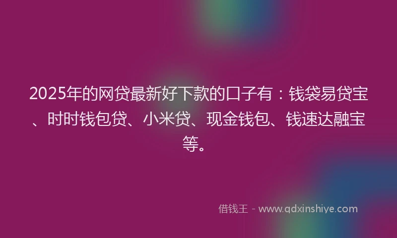 2025年的网贷最新好下款的口子有：钱袋易贷宝、时时钱包贷、小米贷、现金钱包、钱速达融宝等。
