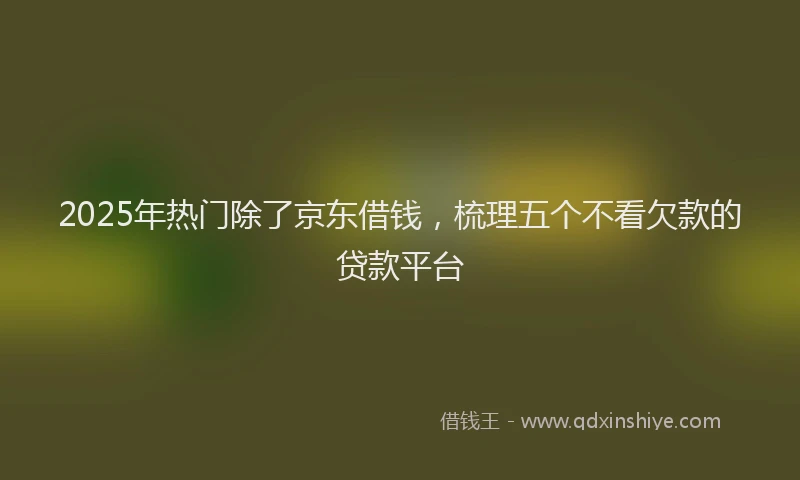 2025年热门除了京东借钱，梳理五个不看欠款的贷款平台