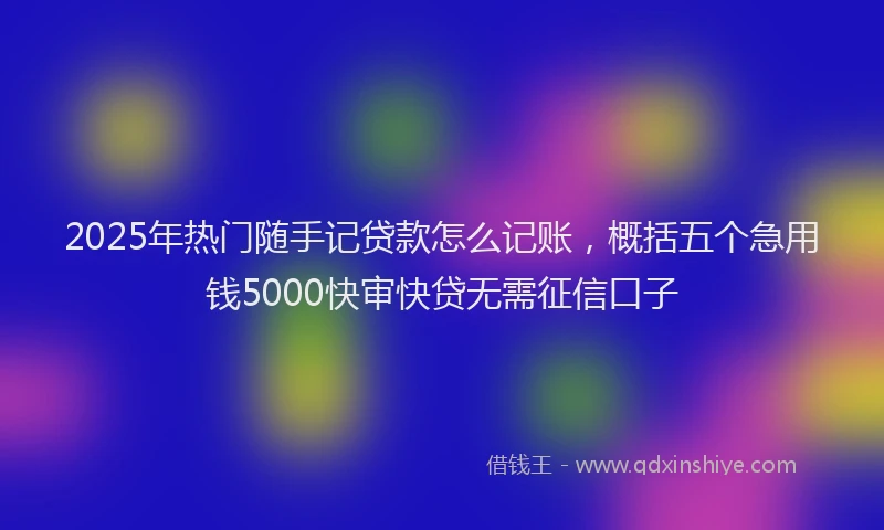 2025年热门随手记贷款怎么记账，概括五个急用钱5000快审快贷无需征信口子