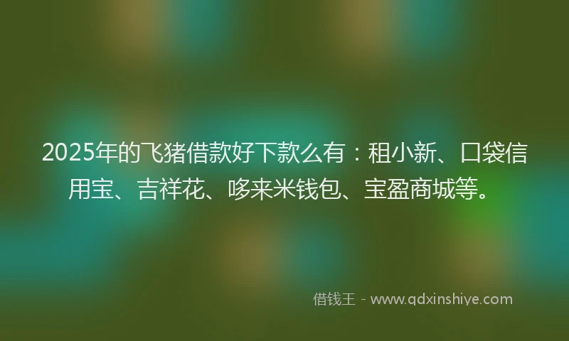 2025年的飞猪借款好下款么有：租小新、口袋信用宝、吉祥花、哆来米钱包、宝盈商城等。