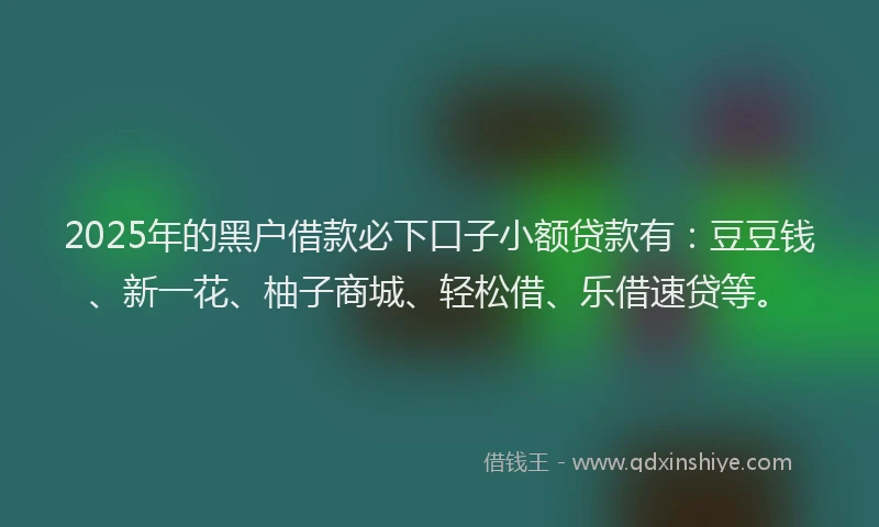 2025年的黑户借款必下口子小额贷款有：豆豆钱、新一花、柚子商城、轻松借、乐借速贷等。