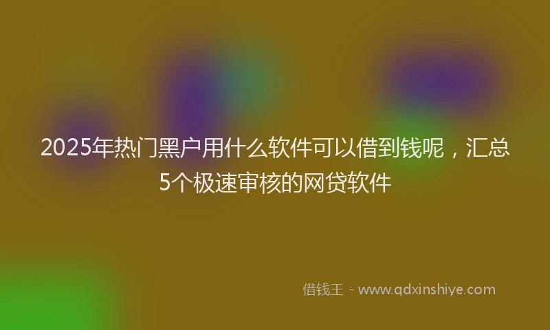 2025年热门黑户用什么软件可以借到钱呢，汇总5个极速审核的网贷软件