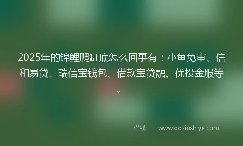 2025年的锦鲤爬缸底怎么回事有：小鱼免审、信和易贷、瑞信宝钱包、借款宝贷融、优投金服等。