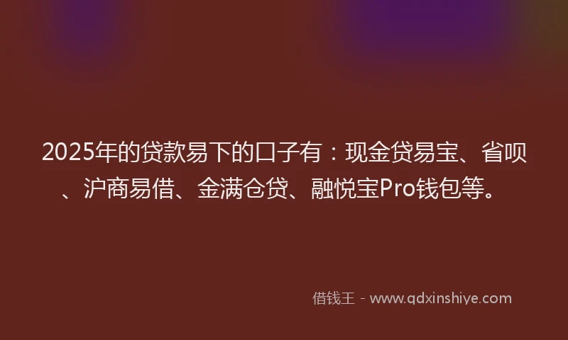 2025年的贷款易下的口子有：现金贷易宝、省呗、沪商易借、金满仓贷、融悦宝Pro钱包等。