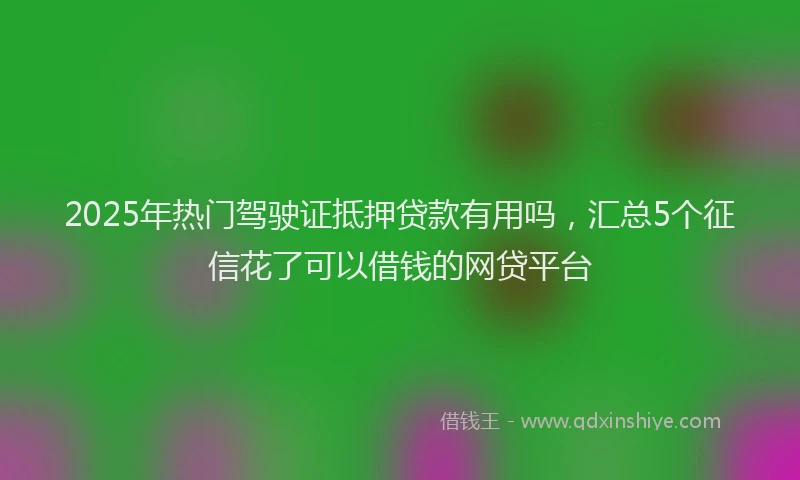 2025年热门驾驶证抵押贷款有用吗，汇总5个征信花了可以借钱的网贷平台