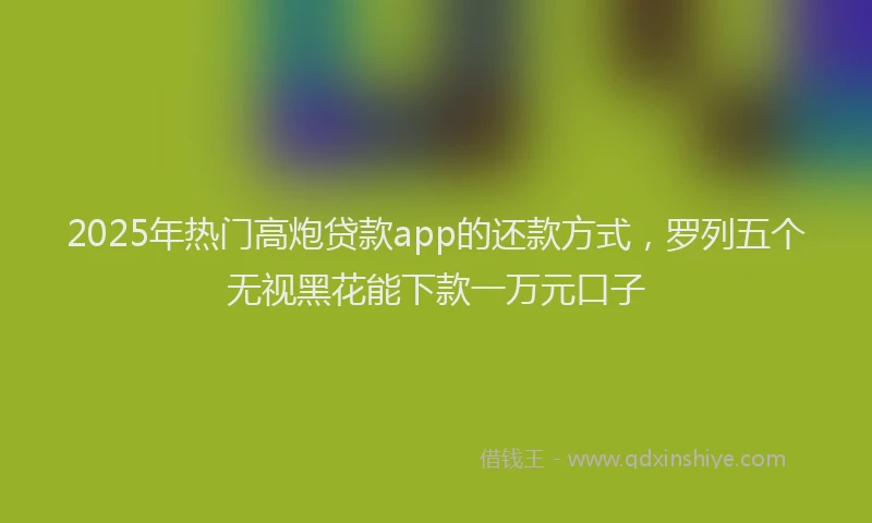 2025年热门高炮贷款app的还款方式，罗列五个无视黑花能下款一万元口子