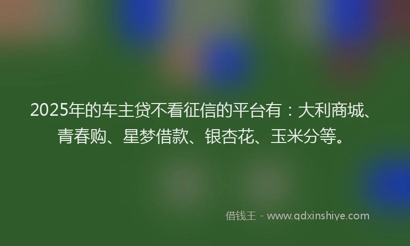 2025年的车主贷不看征信的平台有：大利商城、青春购、星梦借款、银杏花、玉米分等。