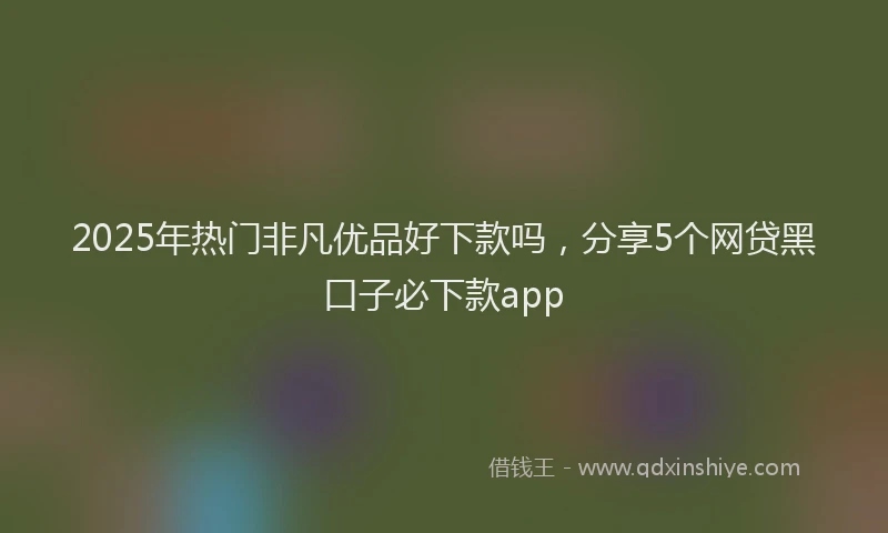 2025年热门非凡优品好下款吗，分享5个网贷黑口子必下款app