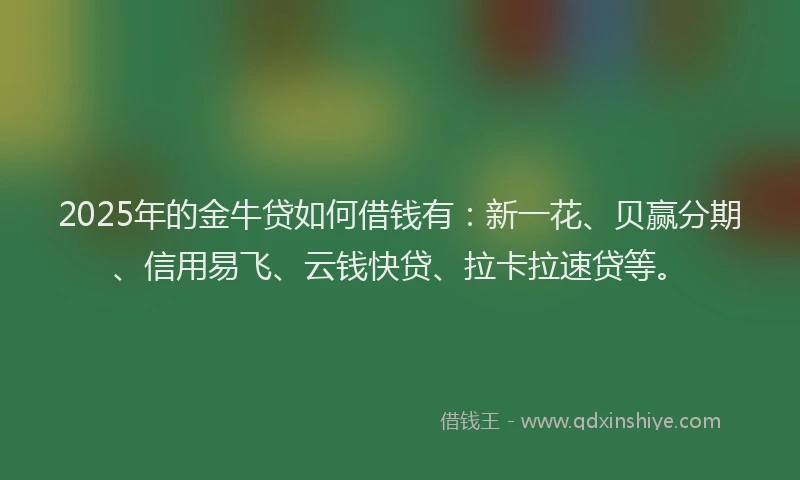2025年的金牛贷如何借钱有：新一花、贝赢分期、信用易飞、云钱快贷、拉卡拉速贷等。