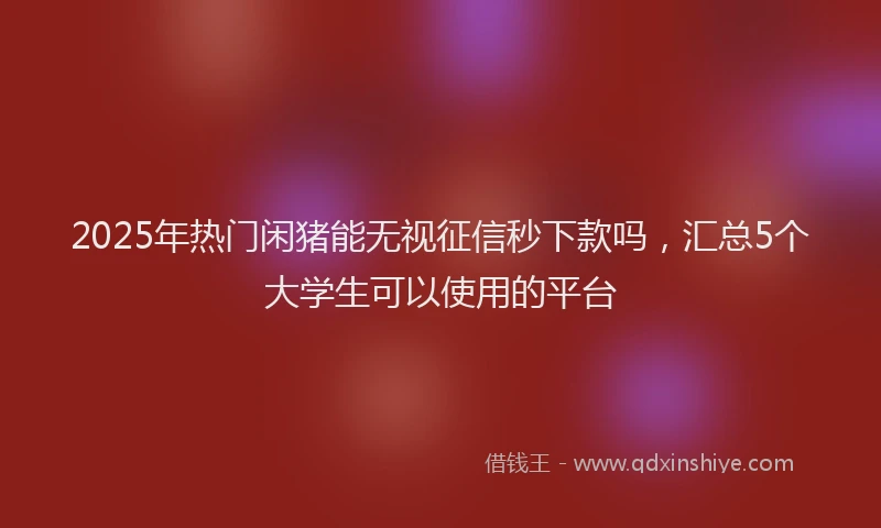 2025年热门闲猪能无视征信秒下款吗，汇总5个大学生可以使用的平台