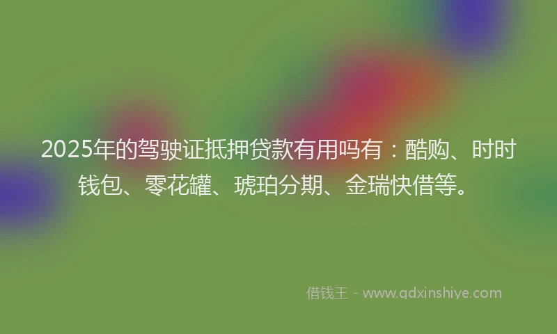 2025年的驾驶证抵押贷款有用吗有：酷购、时时钱包、零花罐、琥珀分期、金瑞快借等。