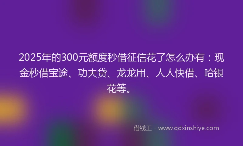2025年的300元额度秒借征信花了怎么办有：现金秒借宝途、功夫贷、龙龙用、人人快借、哈银花等。