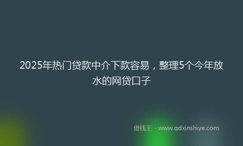 2025年热门贷款中介下款容易，整理5个今年放水的网贷口子