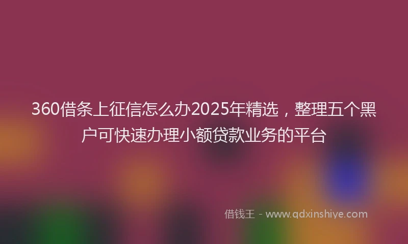 360借条上征信怎么办2025年精选，整理五个黑户可快速办理小额贷款业务的平台