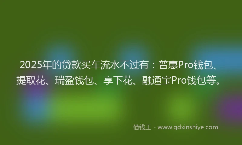 2025年的贷款买车流水不过有：普惠Pro钱包、提取花、瑞盈钱包、享下花、融通宝Pro钱包等。