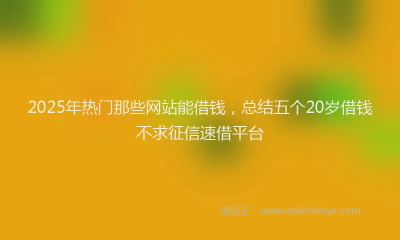 2025年热门那些网站能借钱，总结五个20岁借钱不求征信速借平台
