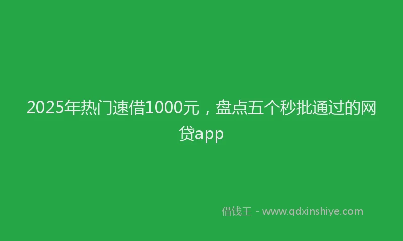 2025年热门速借1000元，盘点五个秒批通过的网贷app