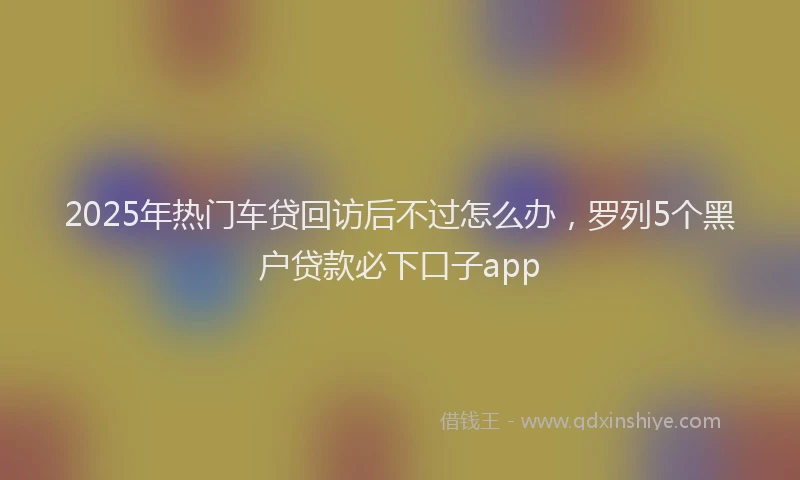 2025年热门车贷回访后不过怎么办，罗列5个黑户贷款必下口子app