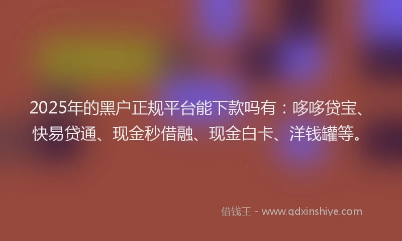 2025年的黑户正规平台能下款吗有：哆哆贷宝、快易贷通、现金秒借融、现金白卡、洋钱罐等。