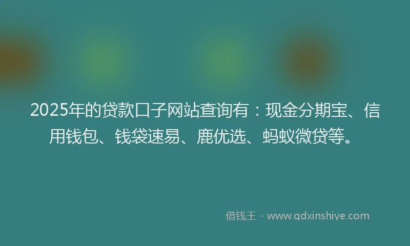 2025年的贷款口子网站查询有：现金分期宝、信用钱包、钱袋速易、鹿优选、蚂蚁微贷等。